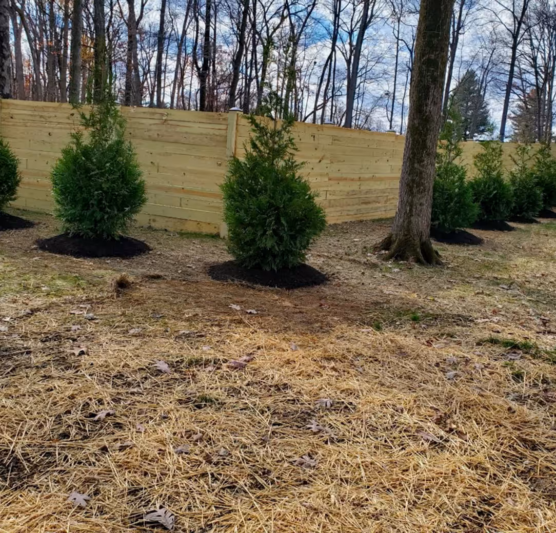 landscaping services